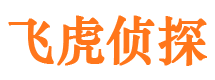 永仁市侦探调查公司